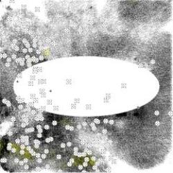 画像クリックで詳細表示。Click to more info.