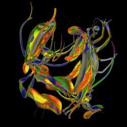 画像クリックで詳細表示。Click to more info.