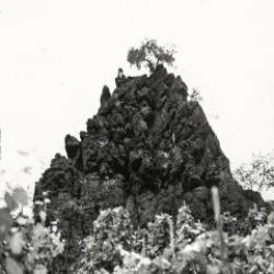 画像クリックで詳細表示。Click to more info.