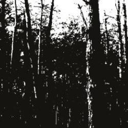 画像クリックで詳細表示。Click to more info.