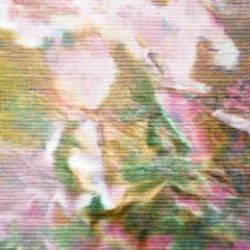 画像クリックで詳細表示。Click to more info.