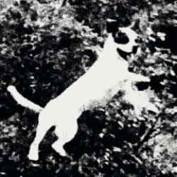 画像クリックで詳細表示。Click to more info.