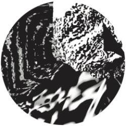 画像クリックで詳細表示。Click to more info.