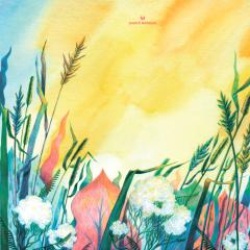 画像クリックで詳細表示。Click to more info.