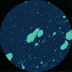 画像クリックで詳細表示。Click to more info.