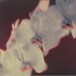 画像クリックで詳細表示。Click to more info.